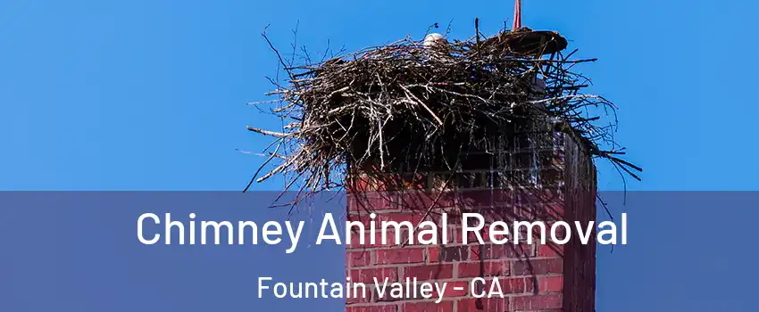  Chimney Animal Removal Fountain Valley - CA