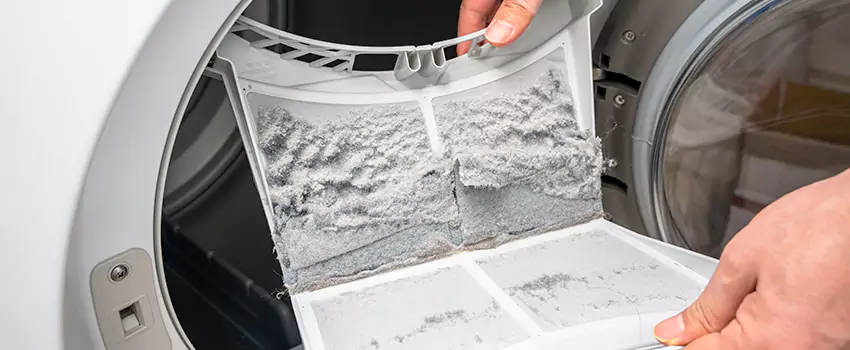 Best Dryer Lint Removal Company in Fountain Valley, California