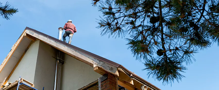 Birds Removal Contractors from Chimney in Fountain Valley, CA